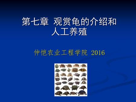 第七章 观赏龟的介绍和 人工养殖 仲恺农业工程学院 2016