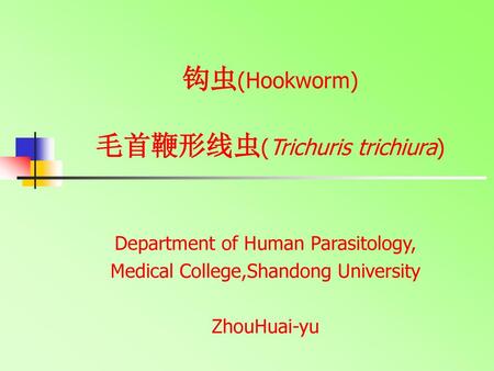 钩虫(Hookworm) 毛首鞭形线虫(Trichuris trichiura)