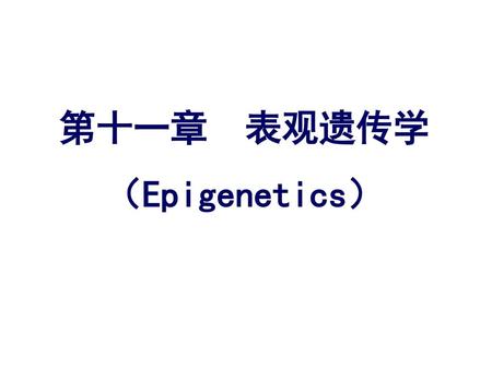 第十一章 表观遗传学 （Epigenetics）