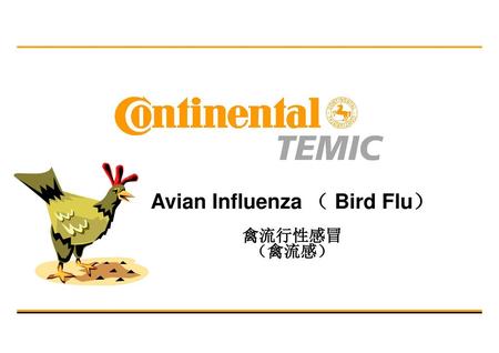 Avian Influenza （ Bird Flu） 禽流行性感冒 （禽流感）