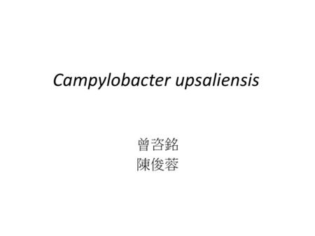 Campylobacter upsaliensis