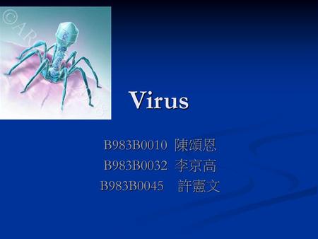 Virus B983B0010 陳頌恩 B983B0032 李京高 B983B0045 許憲文.