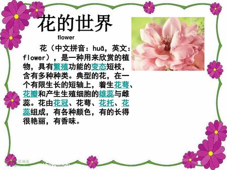 花的世界 flower 花（中文拼音：huā，英文：flower），是一种用来欣赏的植物，具有繁殖功能的变态短枝，含有多种种类。典型的花，在一个有限生长的短轴上，着生花萼、花瓣和产生生殖细胞的雄蕊与雌蕊。花由花冠、花萼、花托、花蕊组成，有各种颜色，有的长得很艳丽，有香味。
