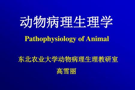 动物病理生理学 Pathophysiology of Animal 东北农业大学动物病理生理教研室 高雪丽.
