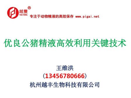 优良公猪精液高效利用关键技术 王维洪 ( ) 杭州越丰生物科技有限公司