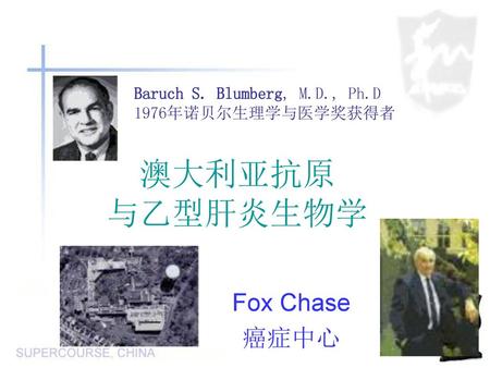 澳大利亚抗原 与乙型肝炎生物学 Fox Chase 癌症中心 Baruch S. Blumberg, M.D., Ph.D