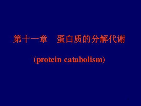第十一章 蛋白质的分解代谢 (protein catabolism)
