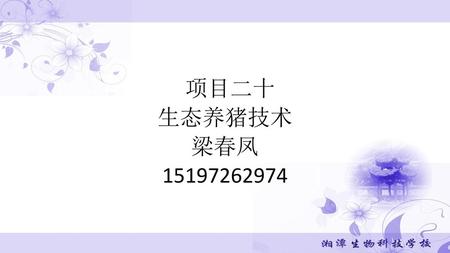 项目二十 生态养猪技术 梁春凤 15197262974.