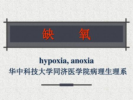 缺 氧 华中科技大学同济医学院病理生理系 hypoxia, anoxia.