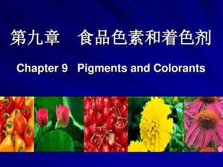第九章 食品色素和着色剂 Chapter 9 Pigments and Colorants