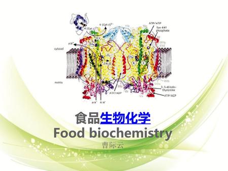 食品生物化学 Food biochemistry