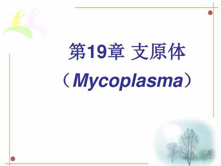 第19章 支原体 （Mycoplasma）.