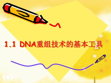 1.1 DNA重组技术的基本工具.