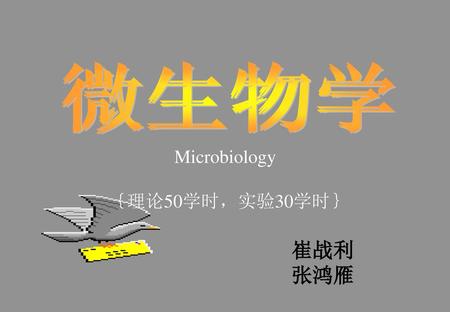 微生物学 微生物学 微生物学 Microbiology ｛理论50学时，实验30学时｝ 崔战利 张鸿雁.