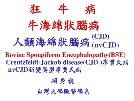 狂 牛 病 牛海綿狀腦病 人類海綿狀腦病 賴 秀 穗 Bovine Spongiform Encephalopathy(BSE)