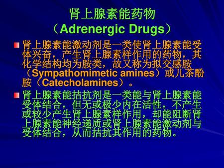 肾上腺素能药物 （Adrenergic Drugs）