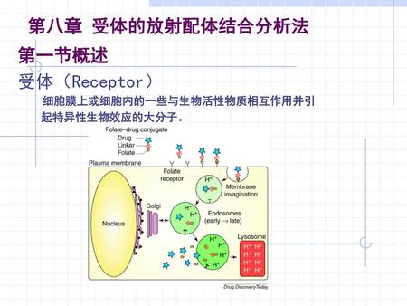 第一节概述 受体（Receptor） 细胞膜上或细胞内的一些与生物活性物质相互作用并引 起特异性生物效应的大分子。