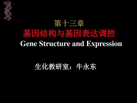 第十三章 基因结构与基因表达调控 Gene Structure and Expression