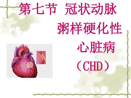第七节 冠状动脉 粥样硬化性 心脏病 （CHD）.