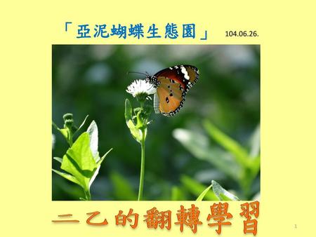 「亞泥蝴蝶生態園」 104.06.26. 二乙的翻轉學習.