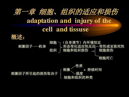 第一章 细胞、组织的适应和损伤 adaptation and injury of the cell and tissuse