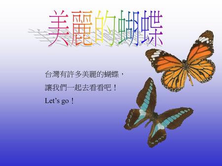 美麗的蝴蝶 台灣有許多美麗的蝴蝶， 讓我們一起去看看吧！ Let’s go！.