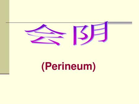 会阴 (Perineum).