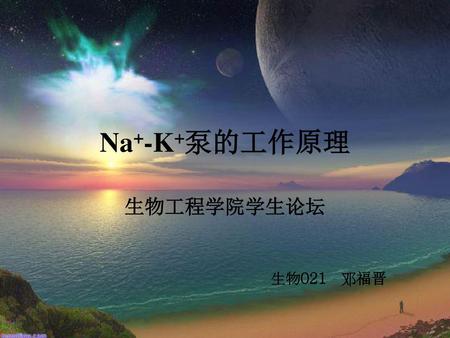 Na+-K+泵的工作原理 生物工程学院学生论坛 生物021 邓福晋.