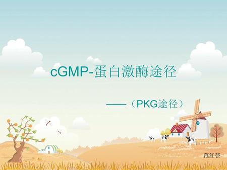 CGMP-蛋白激酶途径 ——（PKG途径） 范红芸.