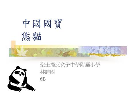 中國國寶 熊貓 聖士提反女子中學附屬小學 林詩尉 6B.
