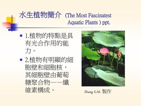 水生植物簡介 (The Most Fascinatest Aquatic Plants ) ppt.