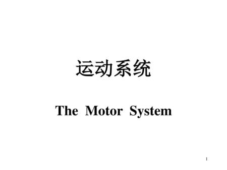 运动系统 The Motor System  .