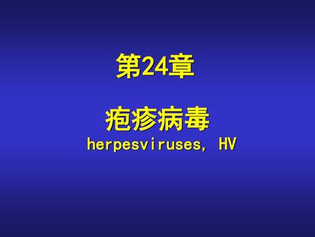 第24章 疱疹病毒 herpesviruses, HV.
