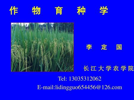 作 物 育 种 学 李 定 国 长 江 大 学 农 学 院 Tel: 13035312062 E-mail:lidingguo654456@126.com.
