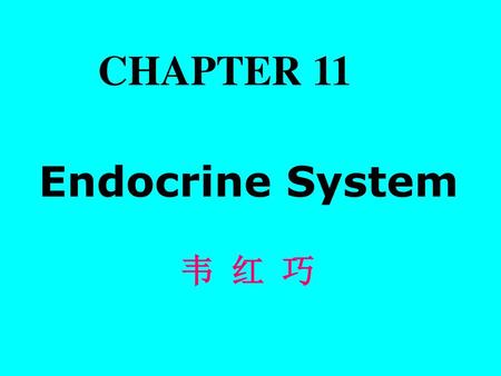 CHAPTER 11 Endocrine System 韦 红 巧.
