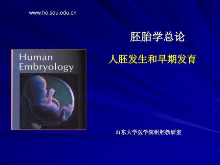 Www.he.sdu.edu.cn 胚胎学总论 人胚发生和早期发育 山东大学医学院组胚教研室.