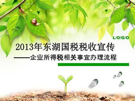 2013年东湖国税税收宣传 ——企业所得税相关事宜办理流程