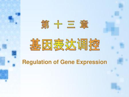 第 十 三 章 基因表达调控 Regulation of Gene Expression.