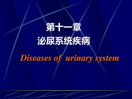 第十一章 泌尿系统疾病 Diseases of urinary system.