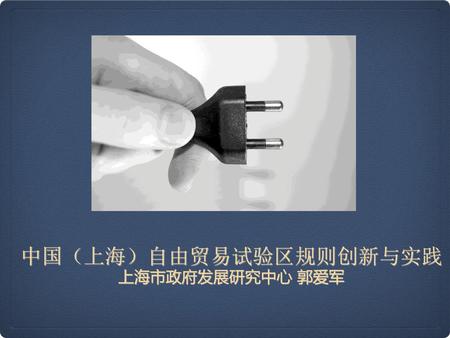 中国（上海）自由贸易试验区规则创新与实践上海市政府发展研究中心 郭爱军