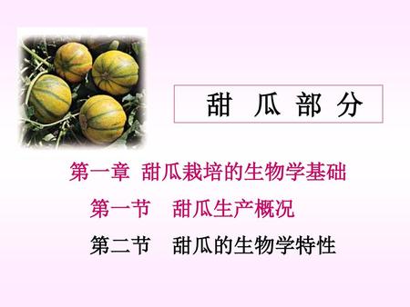 　甜 瓜 部 分 第一章 甜瓜栽培的生物学基础 　第一节　甜瓜生产概况 　第二节　甜瓜的生物学特性.