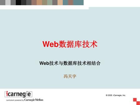 Web数据库技术 Web技术与数据库技术相结合 冯天宇.