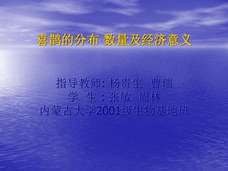 喜鹊的分布 数量及经济意义 指导教师: 杨贵生 曹瑞 学 生 : 张敏 周林 内蒙古大学2001级生物基地班