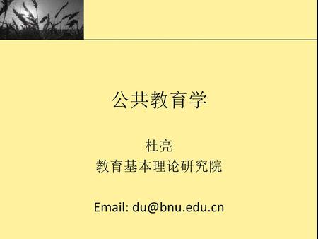 公共教育学 杜亮 教育基本理论研究院 Email: du@bnu.edu.cn.
