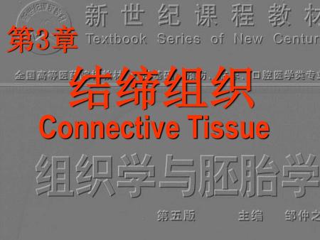 第3章 结缔组织 Connective Tissue.