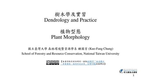 樹木學及實習 Dendrology and Practice 植物型態 Plant Morphology