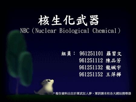 核生化武器 NBC（Nuclear Biological Chemical）