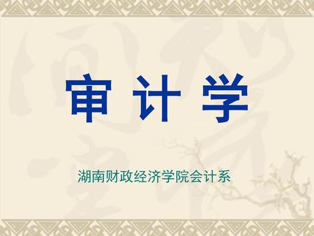 审 计 学 湖南财政经济学院会计系.