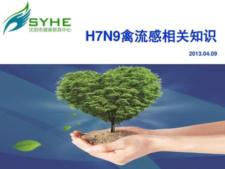 H7N9禽流感相关知识 2013.04.09.