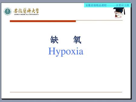安徽省级精品课程-------汪思应主持 缺 氧 Hypoxia.